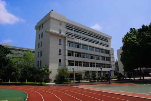 成都浙派企业管理咨询 赋能西部企业高质量发展的智慧引擎
