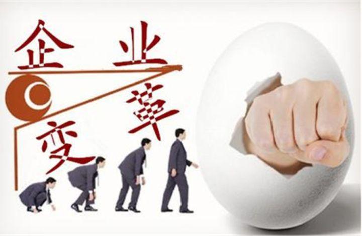 什么是企业管理咨询公司 企业管理咨询的全面解读
